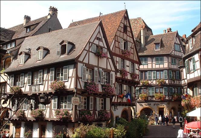 Gite Avec Piscine Chez Vero Breitenbach-Haut-Rhin Екстер'єр фото