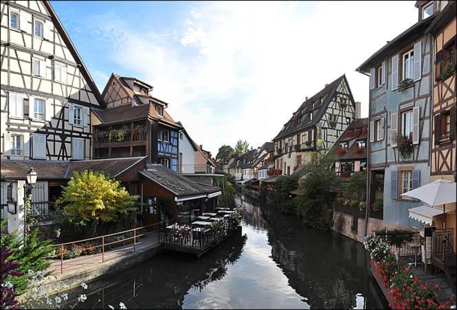 Gite Avec Piscine Chez Vero Breitenbach-Haut-Rhin Екстер'єр фото