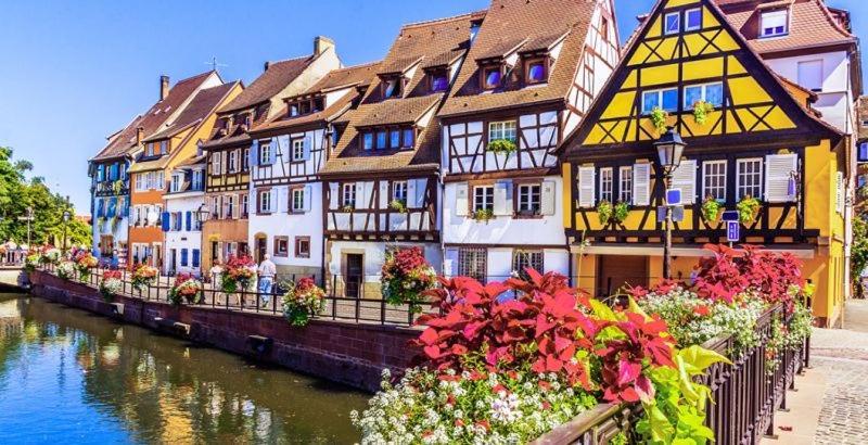 Gite Avec Piscine Chez Vero Breitenbach-Haut-Rhin Екстер'єр фото