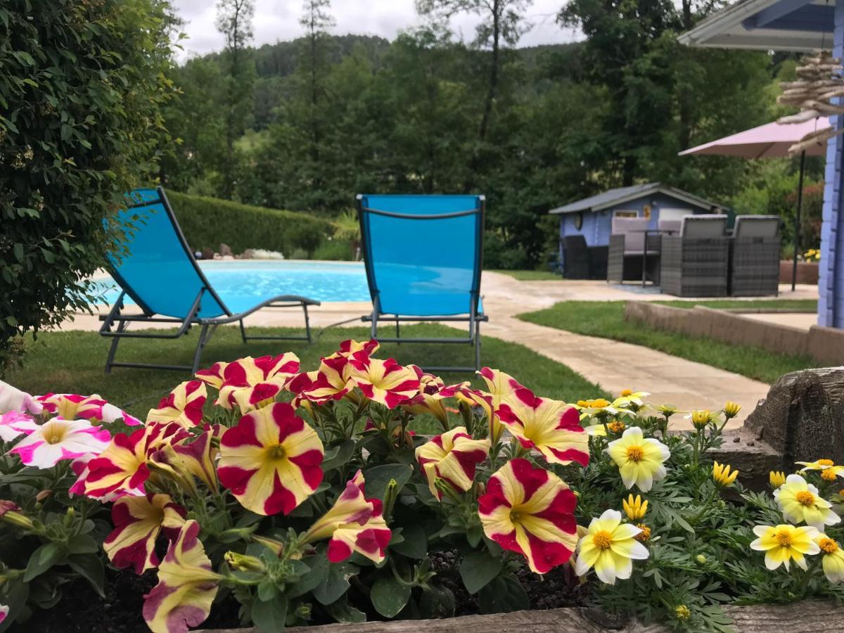 Gite Avec Piscine Chez Vero Breitenbach-Haut-Rhin Екстер'єр фото