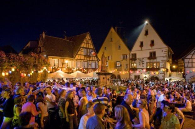 Gite Avec Piscine Chez Vero Breitenbach-Haut-Rhin Екстер'єр фото