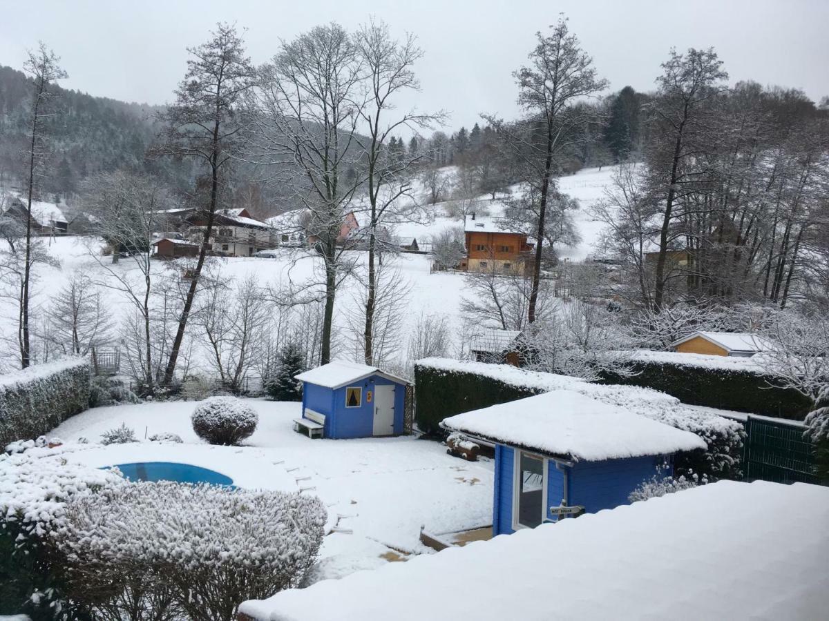 Gite Avec Piscine Chez Vero Breitenbach-Haut-Rhin Екстер'єр фото