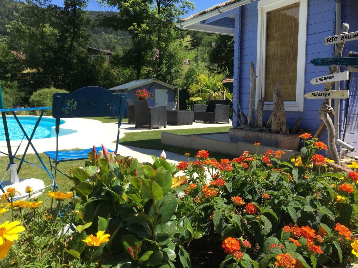 Gite Avec Piscine Chez Vero Breitenbach-Haut-Rhin Екстер'єр фото
