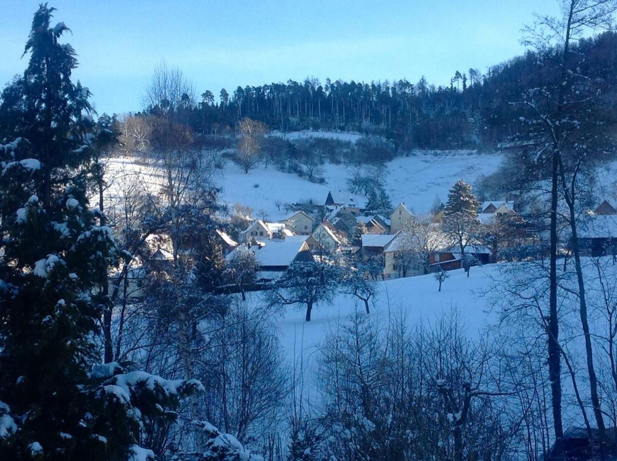 Gite Avec Piscine Chez Vero Breitenbach-Haut-Rhin Екстер'єр фото